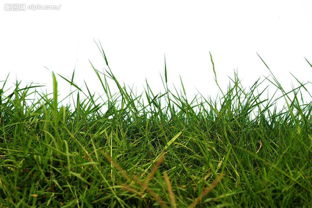 农药专用消泡剂在除草剂中的应用