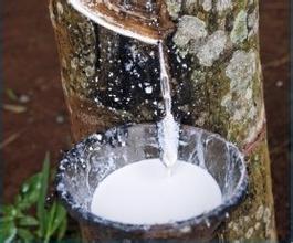 消泡剂合成胶乳中应用