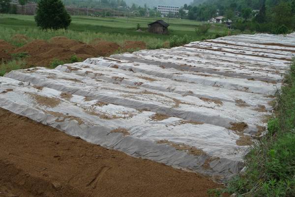 发酵用有机硅消泡剂在发酵中应用