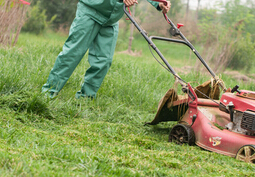化肥专用消泡剂在除草中的应用